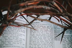 crown-thorns-bible